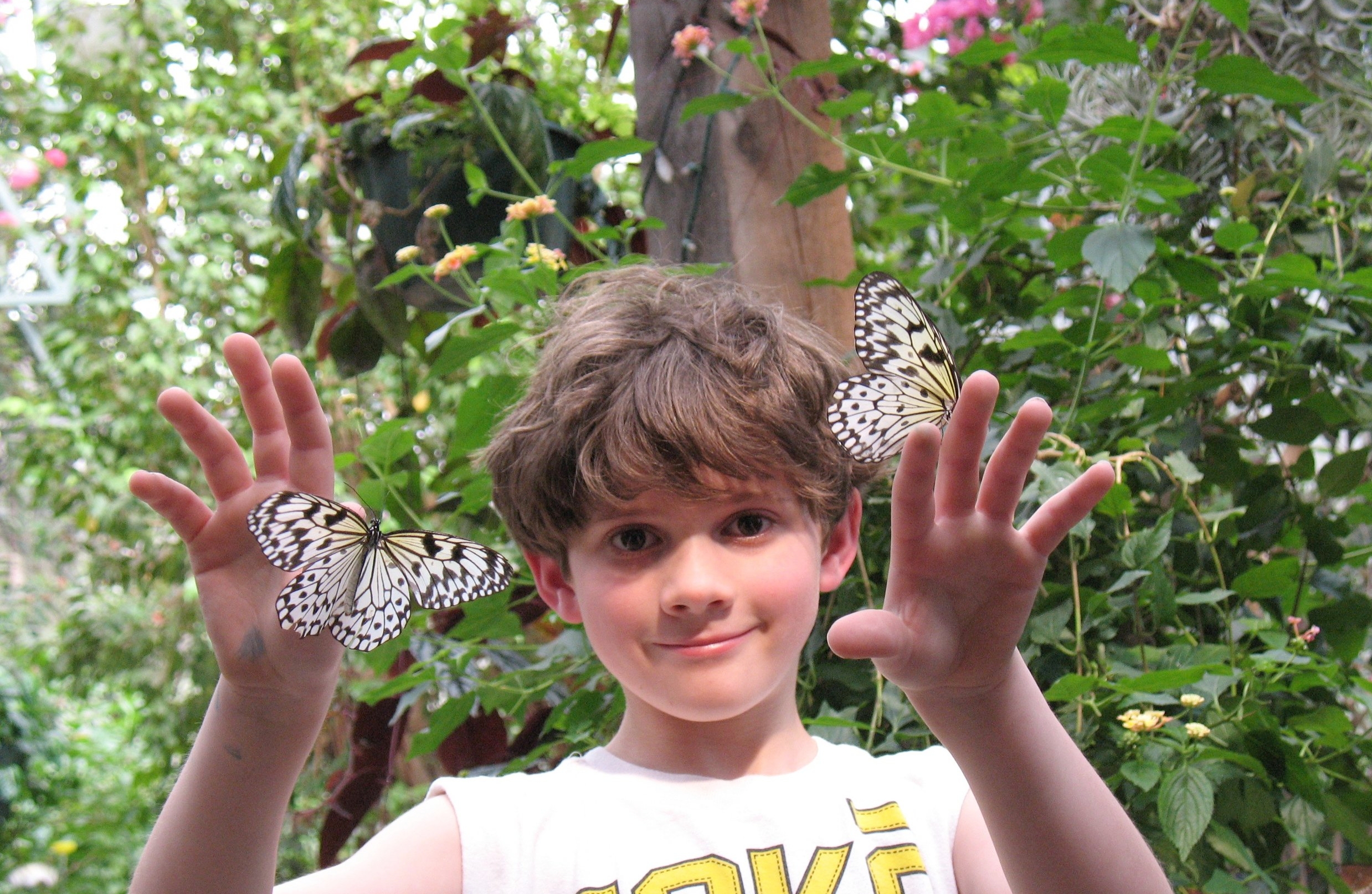 Photograph courtesy of Partners in Scientific Inquiry