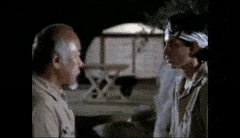 karatekid.gif
