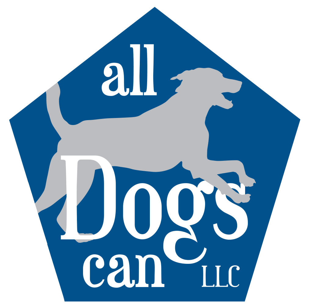 All dawgs best sale training