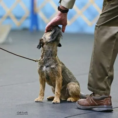 jessica redman  being touched by judge.jpg