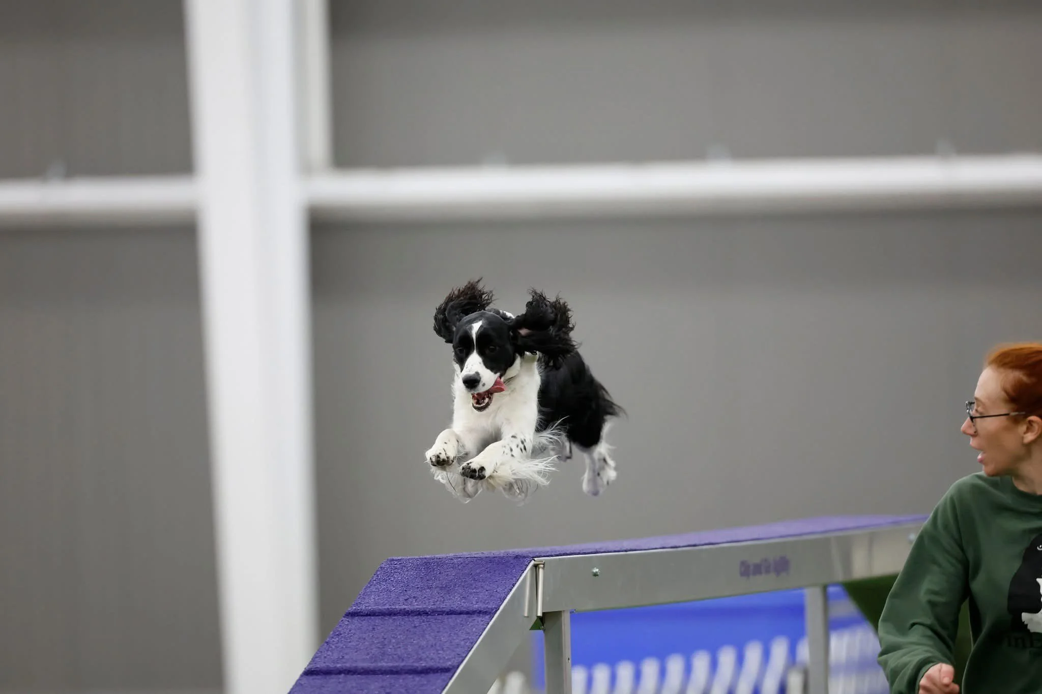 Intro to Agility Coursework with Heather Podgorski  Mondays  8 - 9pm