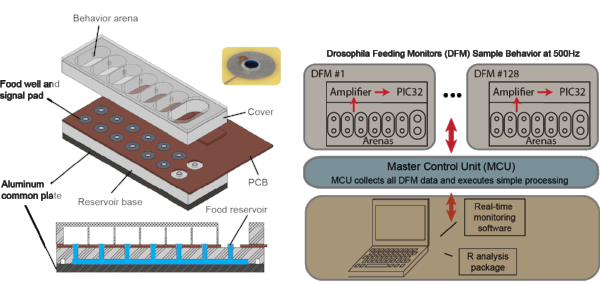 Schematic of the system.png