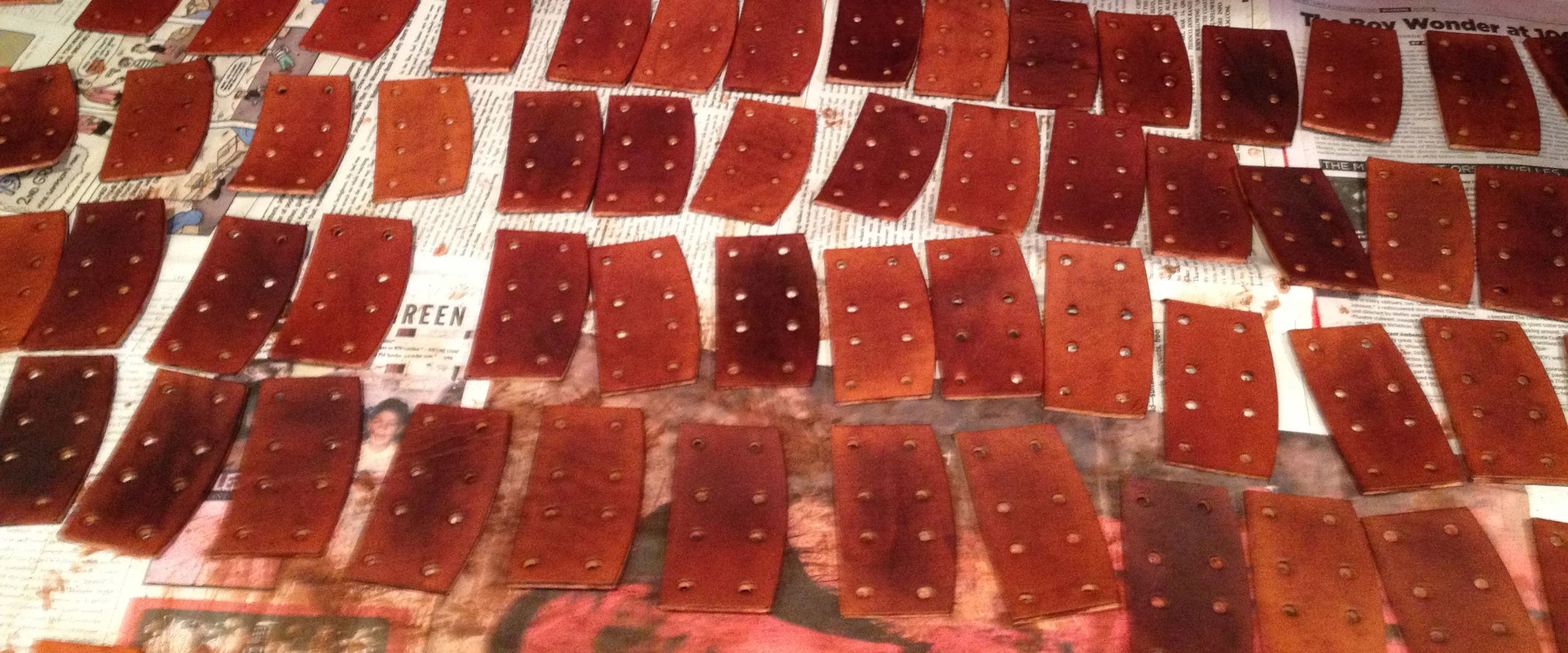   Dyed Lamellar Plates  
