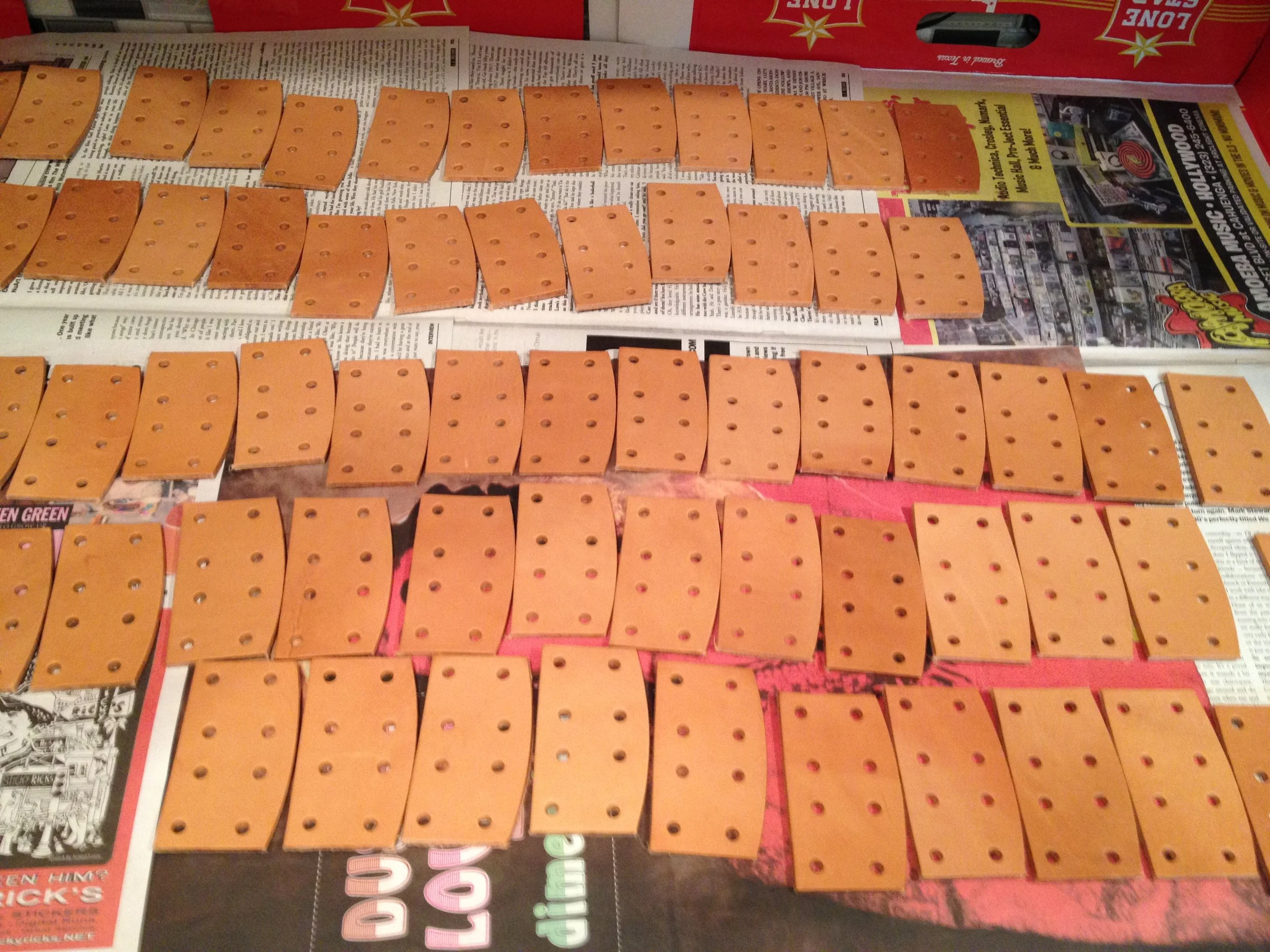   Lamellar plates before dye  