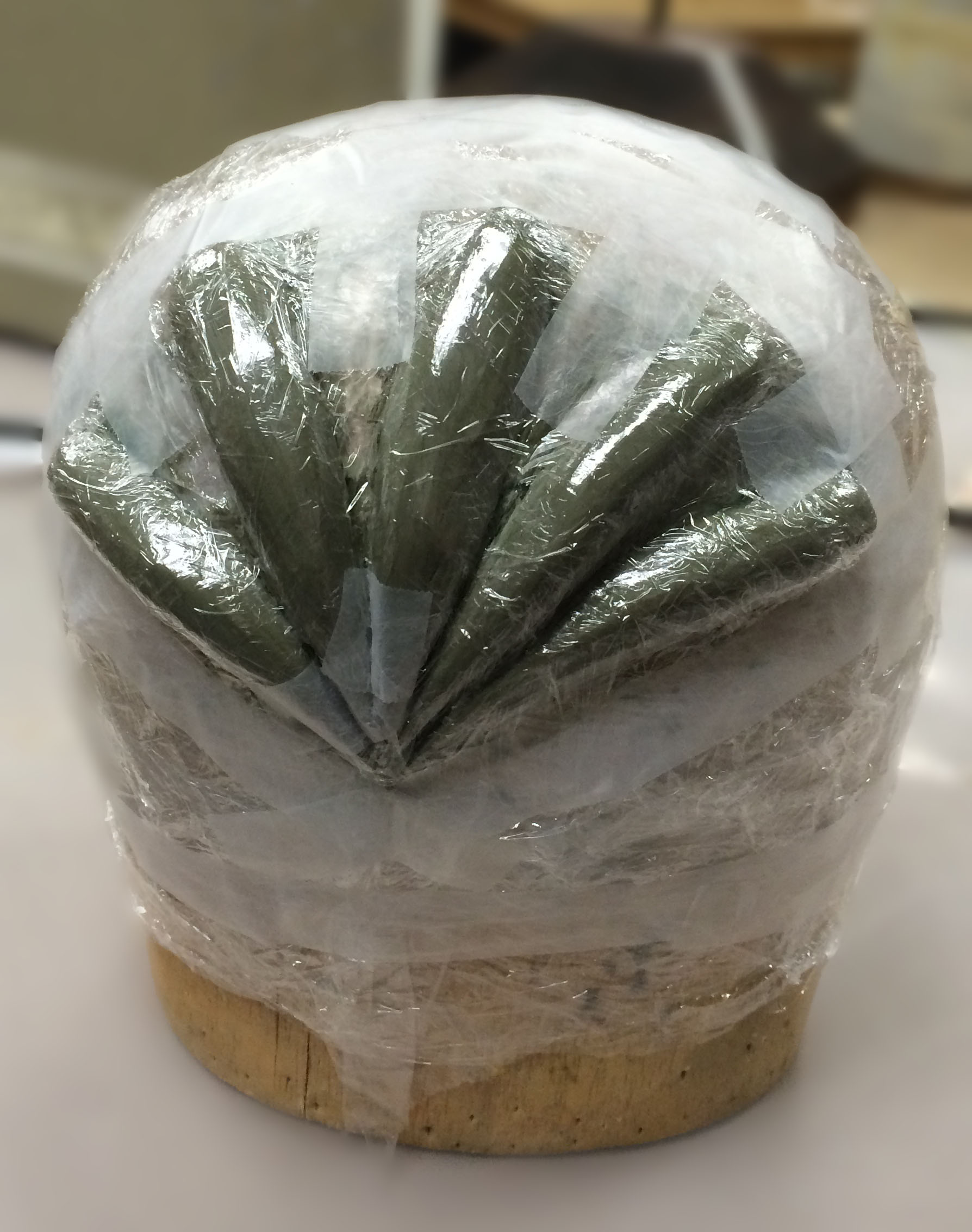 Roma Plastellina Hat Block