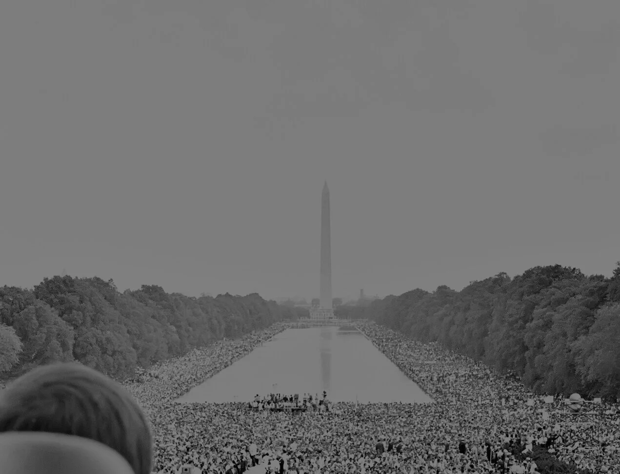 Black People's March on the White House: Black Is Back Coalition 