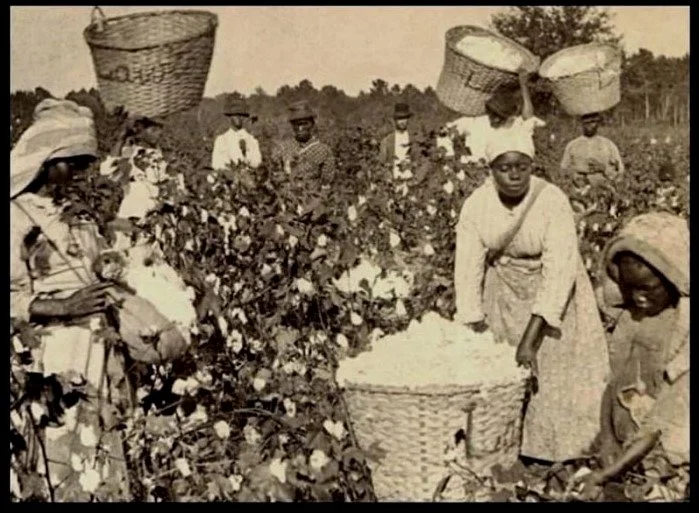 From Enslavement to Internal Colonies: The Ongoing Struggle for African Liberation in the U.S