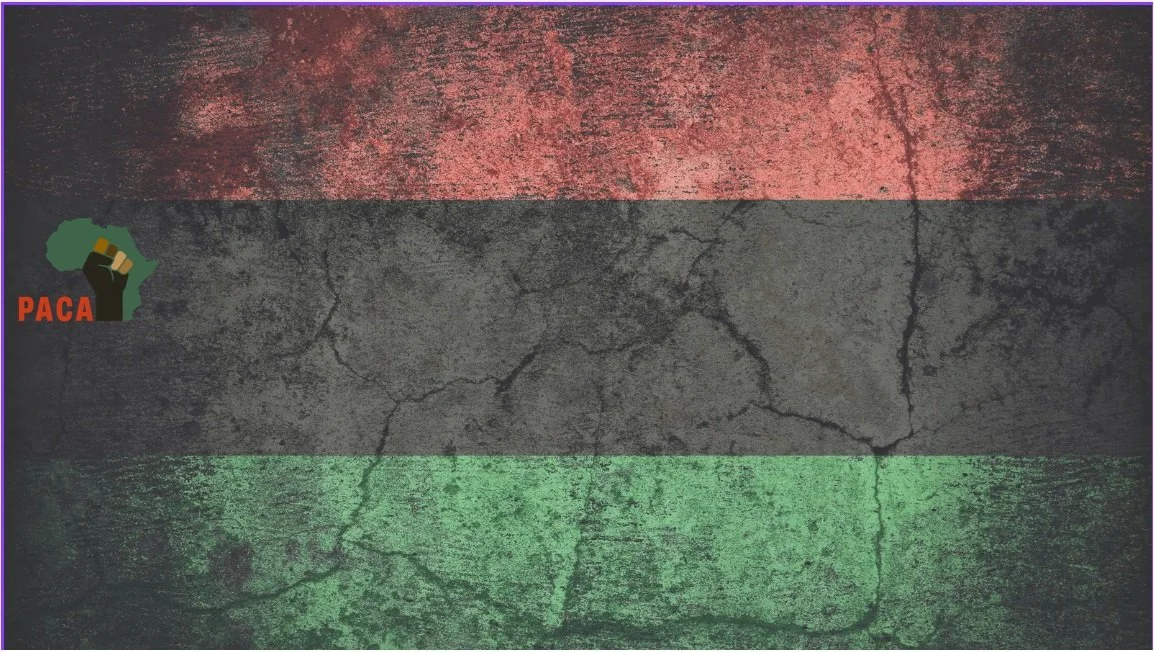 On the Precipice of Major DC Elections, Pan-African Community Action Demands Community-Based Control