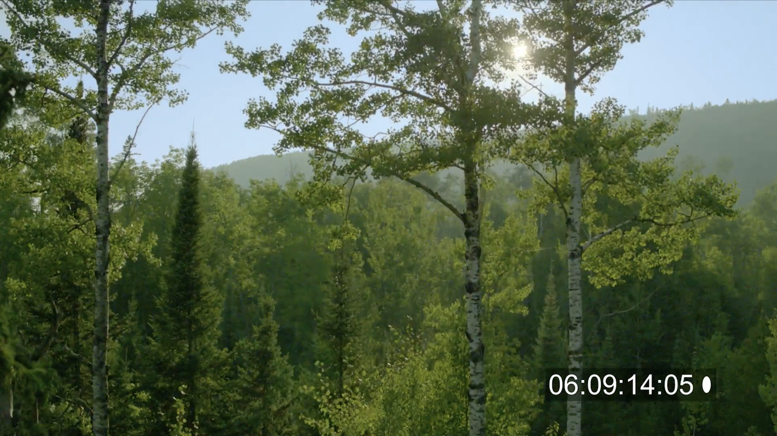 Screen Shot 2019-10-25 at 12.35.42 AM.png