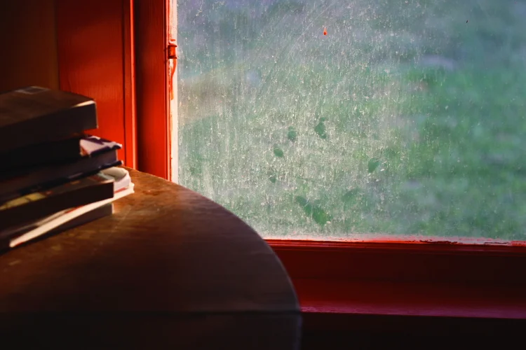 window series