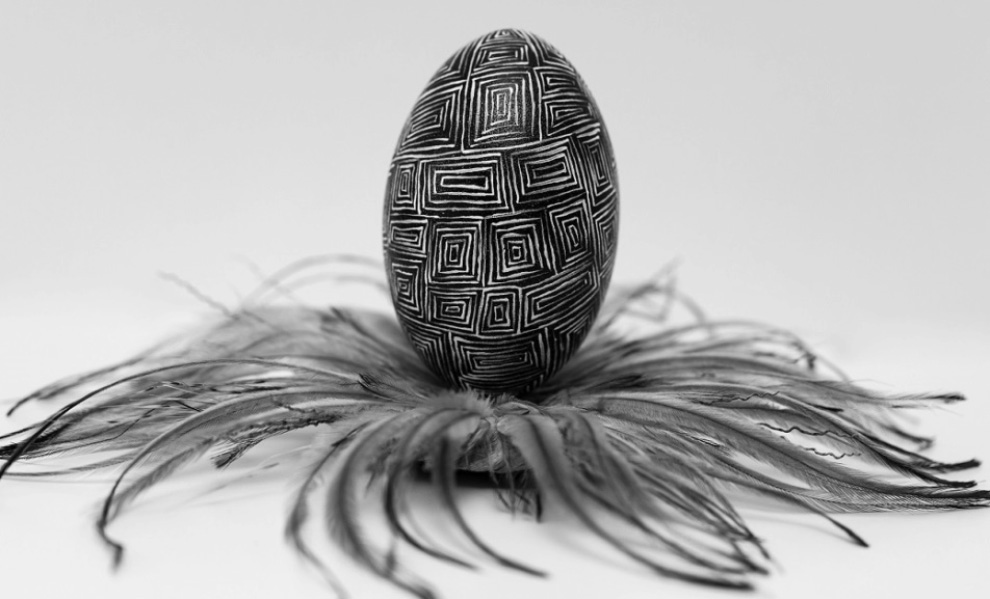 Emu Egg by Bonni Ingram