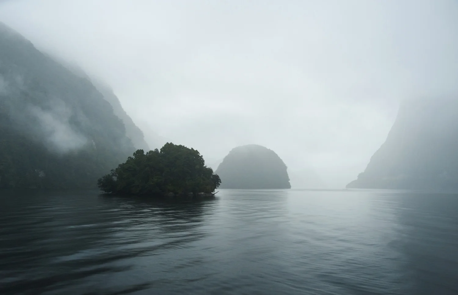 DSC_4754.jpg