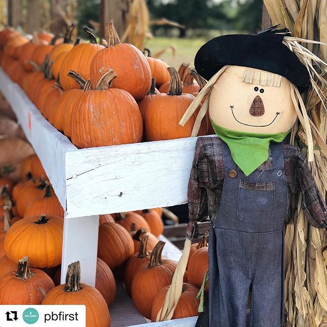 #Repost @pbfirst (@get_repost)
・・・
Fall Festival is happening TONIGHT at 4PM! Hayride, pumpkin patch, carnival-styled games, concessions, trunk-or-treat, and CANDY!! It's going to be fun for the whole family.

We are #acrossfromthemovies which is the