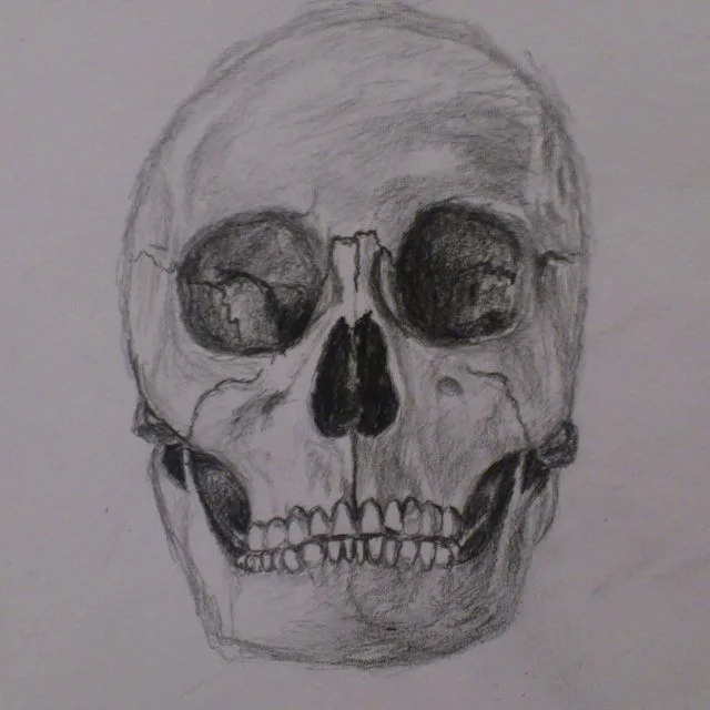Skull study