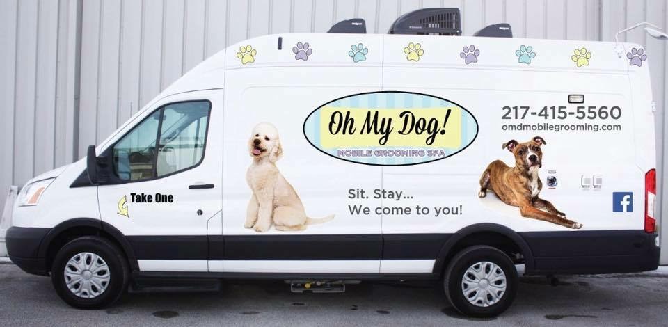 basket muzzle for brachycephalic dogs