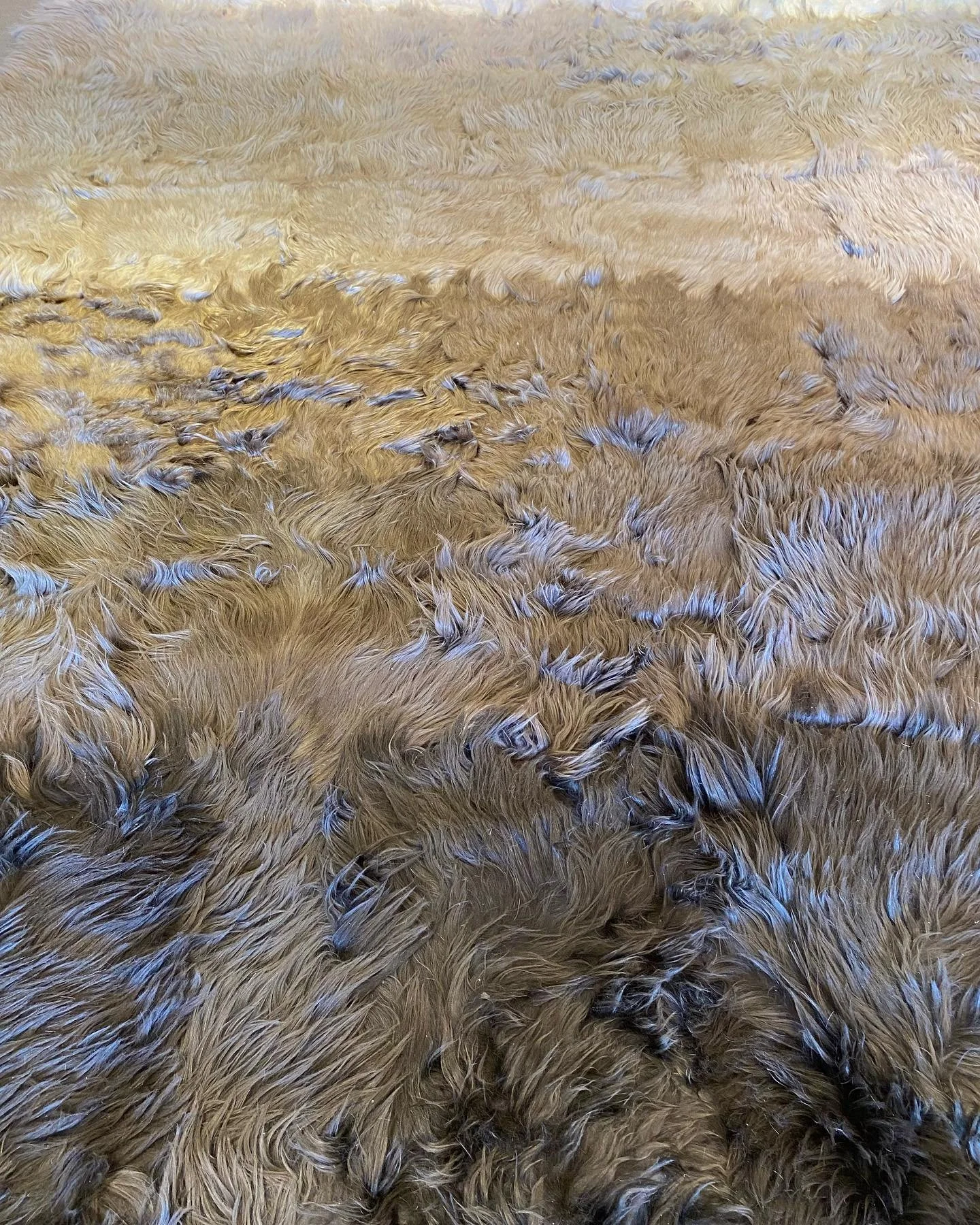 Todays inspo: Ombre goatskin carpet at @starkcarpet &hellip;..va va va voom!