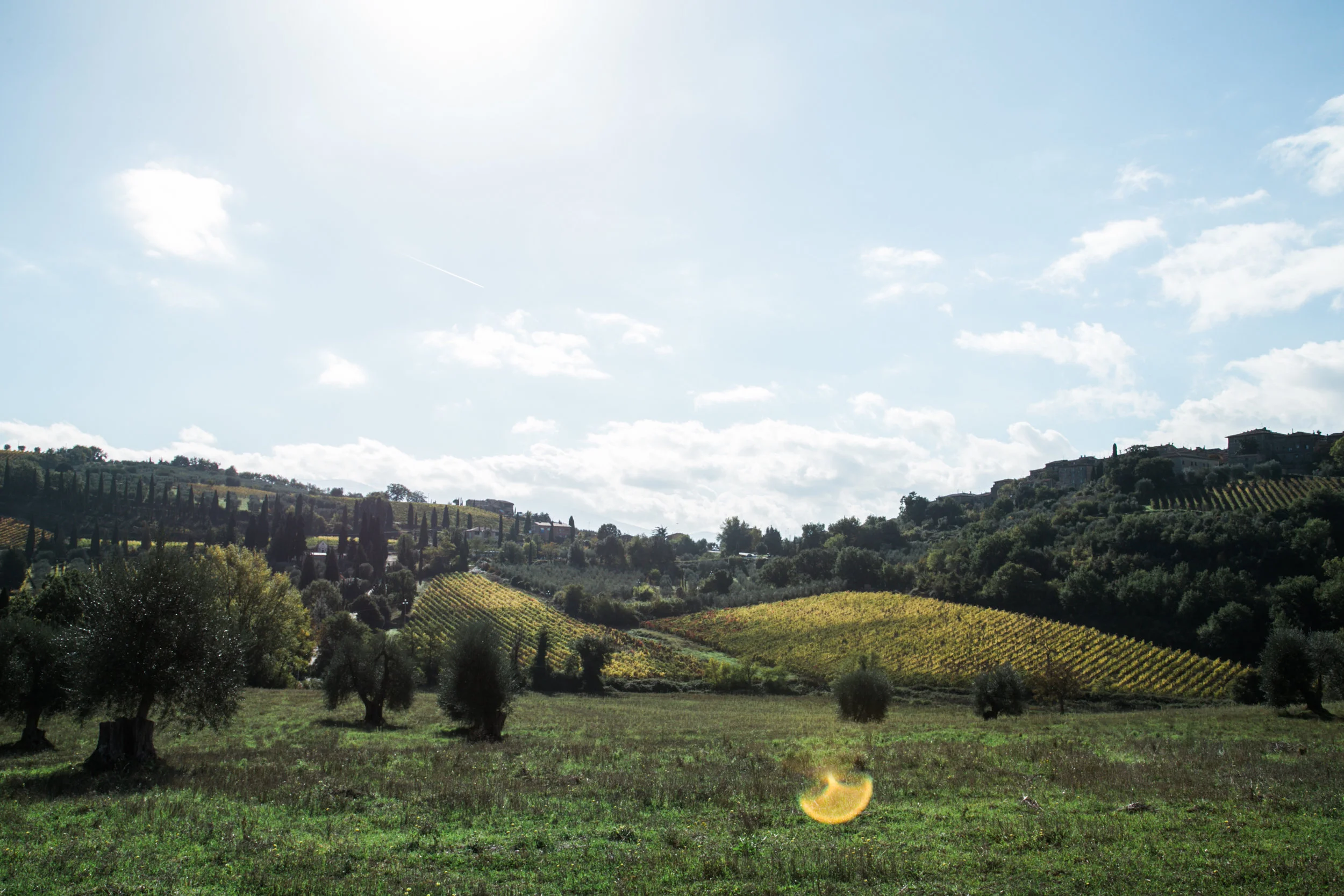 20161019-IMG_8757.jpg