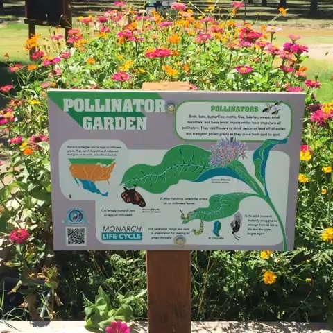 RP: @lasemillafoodcenter 
We are excited to showcase an example of how we are #rootedincommunitysw in the Paso del Norte region! One way that we grow our community is by creating habitat for our winged friends and teaching kids to show love for Mothe