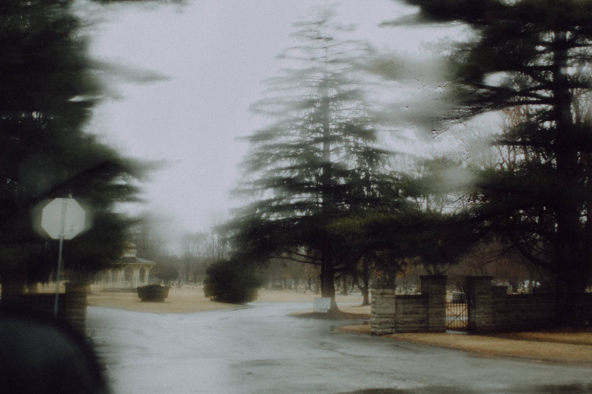 _MG_5571.jpg