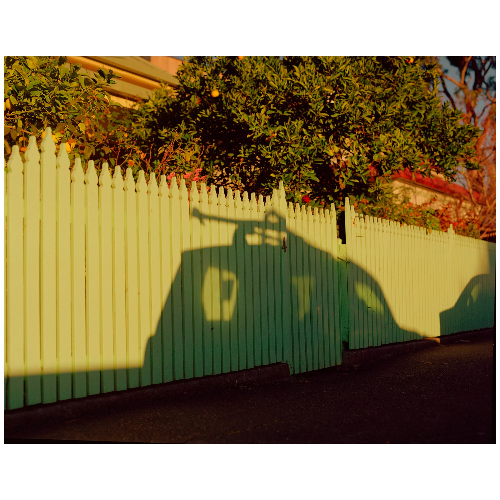 Sam_Wright_2_Photography_Melbourne_London_Fence_Shadow_Green_.jpg