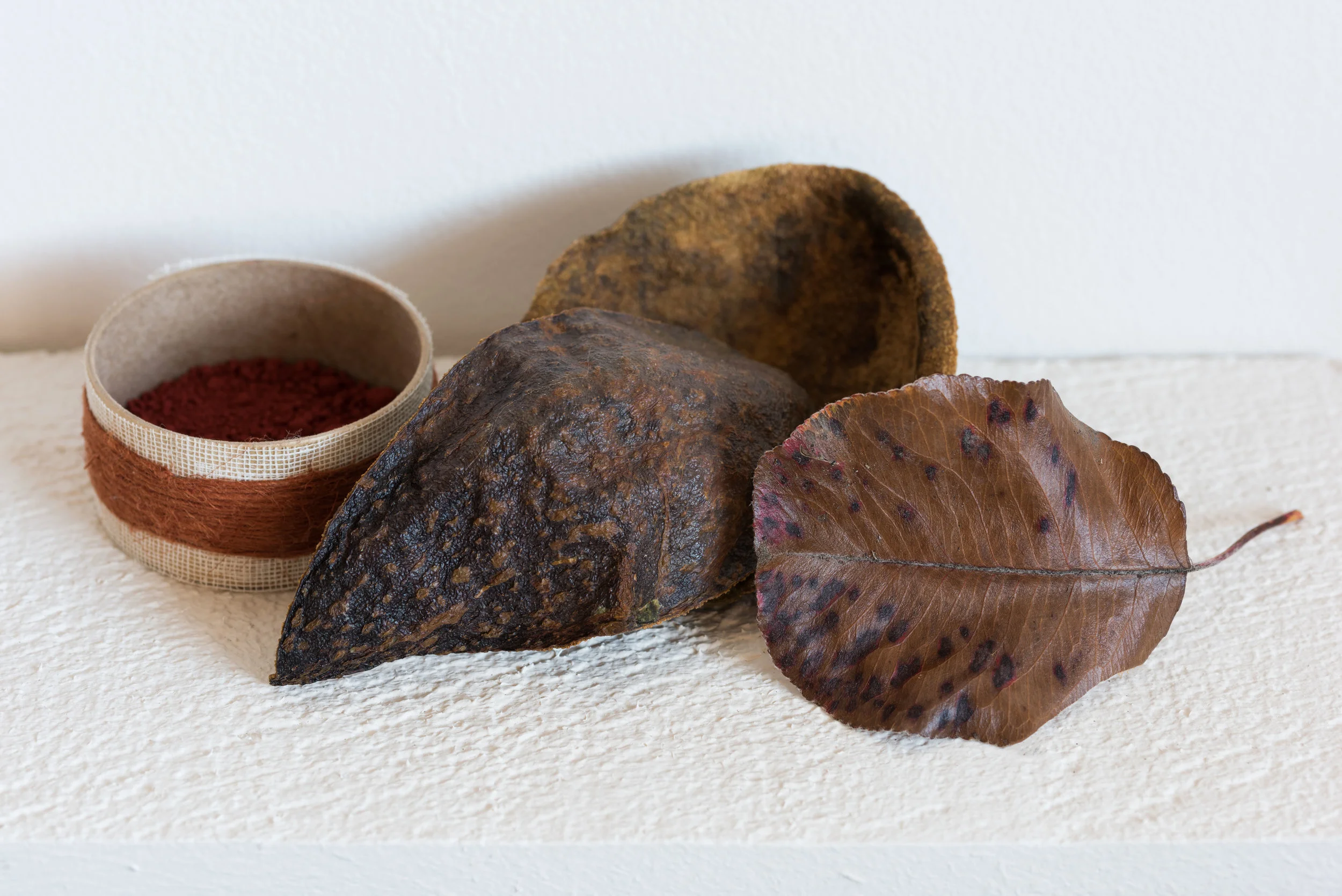 natural pigment