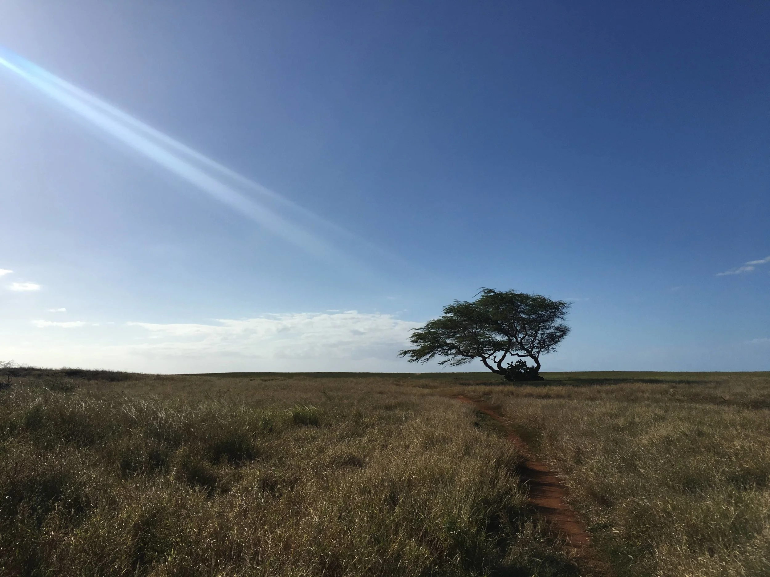 A marker where the path turned. Photo taken in Molokai (January 2019)