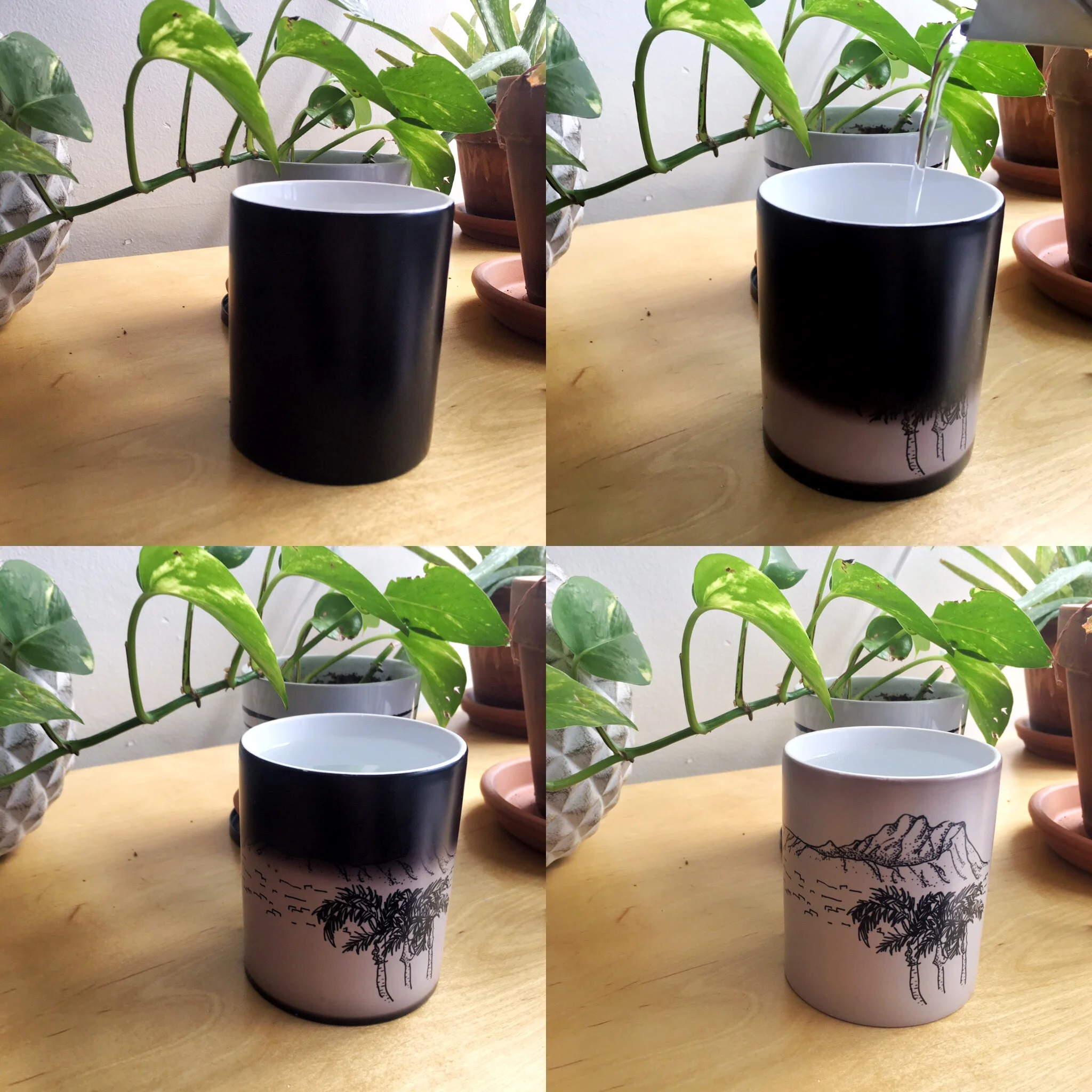 DH-Crater-Magic-Mug2.jpg
