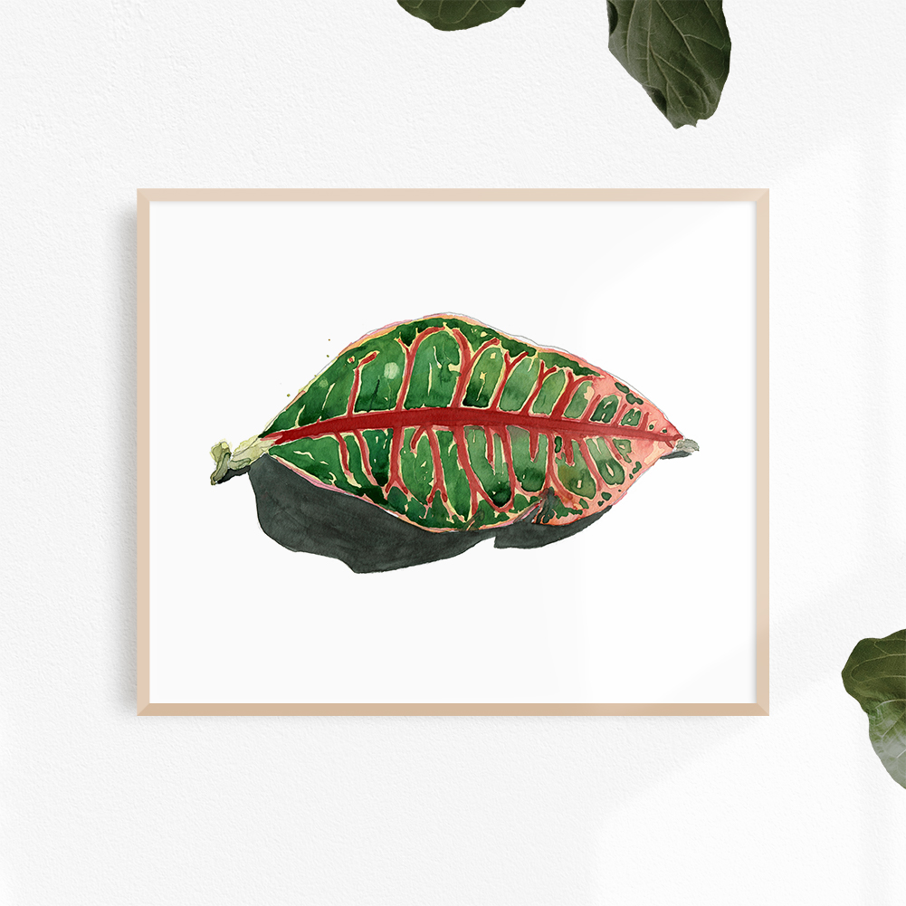 crotonleaf-print.jpg