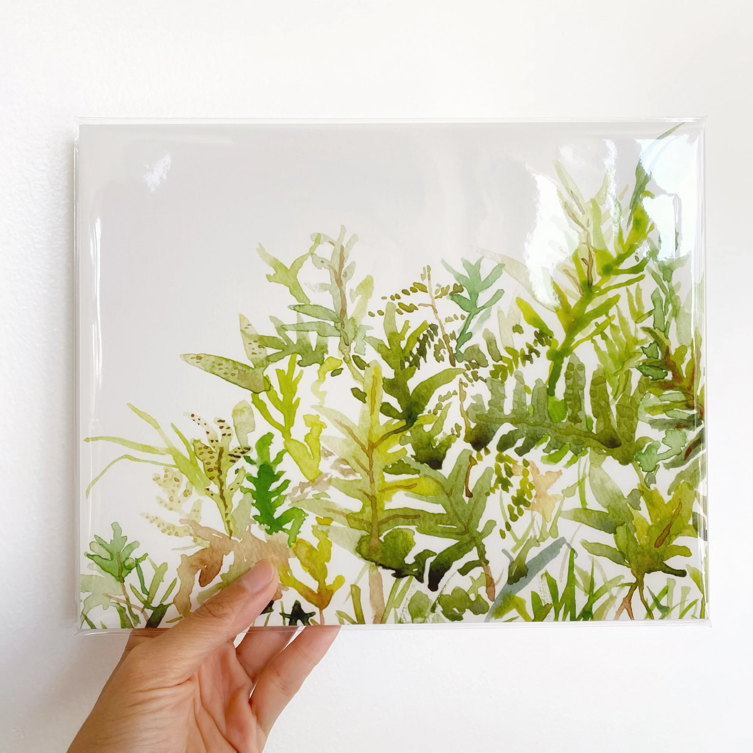 90885046-C9E7-46ED-9487-0189434727CB