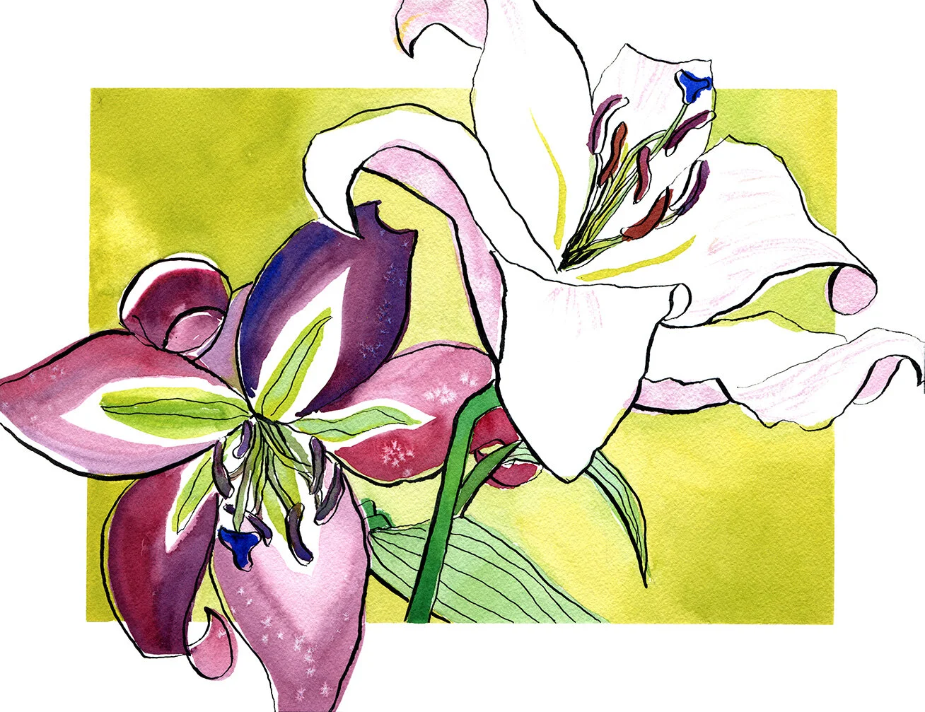 unfurl-for-print-sm.jpg