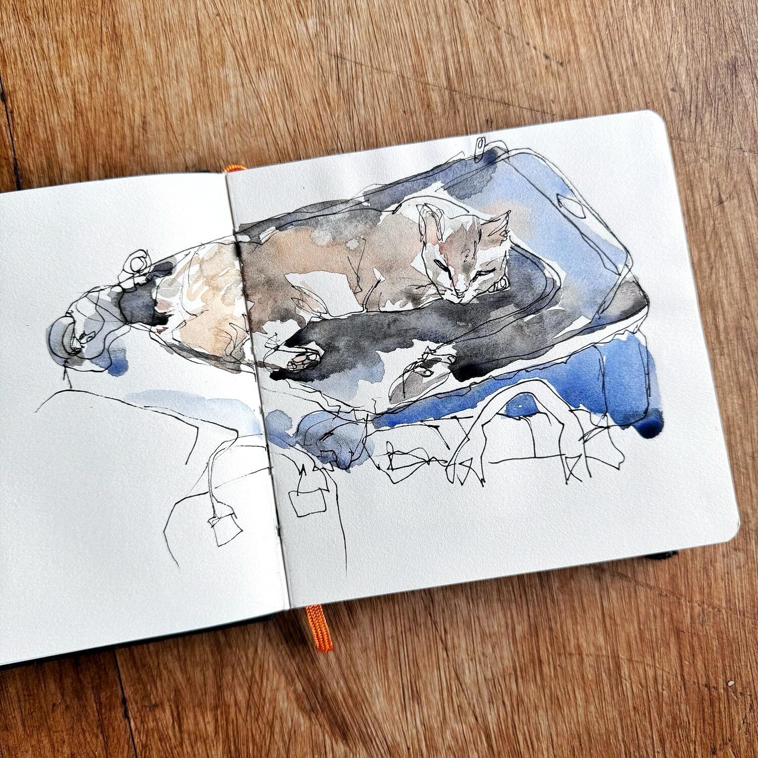 Can&rsquo;t believe March is just about over. Trying to capture small moments before this year flies by. This one reminds me that cats are easier to sketch than preschoolers. 

Learn to #sketchyourlife at my workshop next week, Sunday 4/7 from 10am t