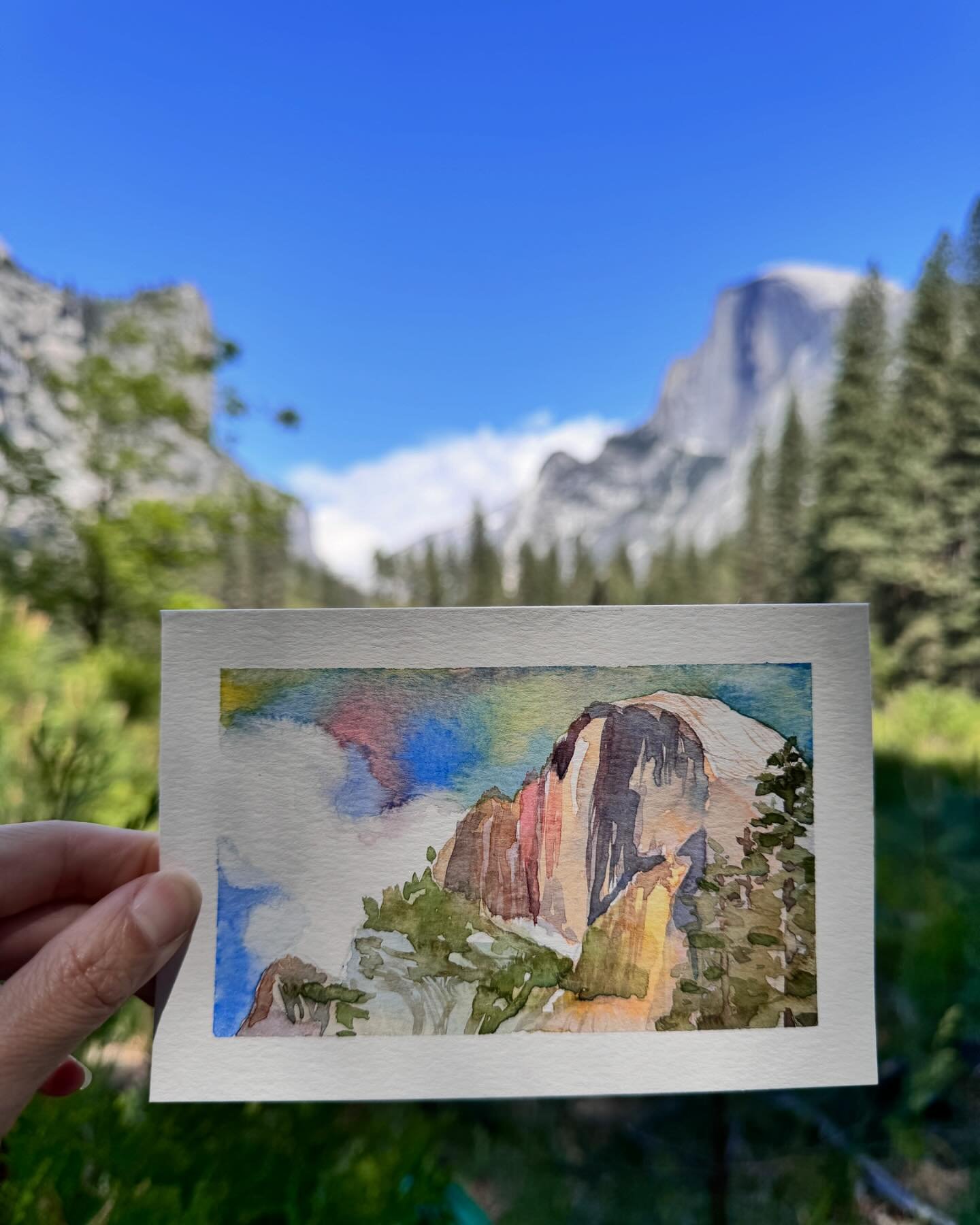 I used to never do field studies but this trip has taught me how pleasurable they are, and educational&hellip; and I can turn them into postcards to send to my loved ones!
。
#janetmeinkelau #aquarelle #artislife #madeincalifornia #buylocalart #origin