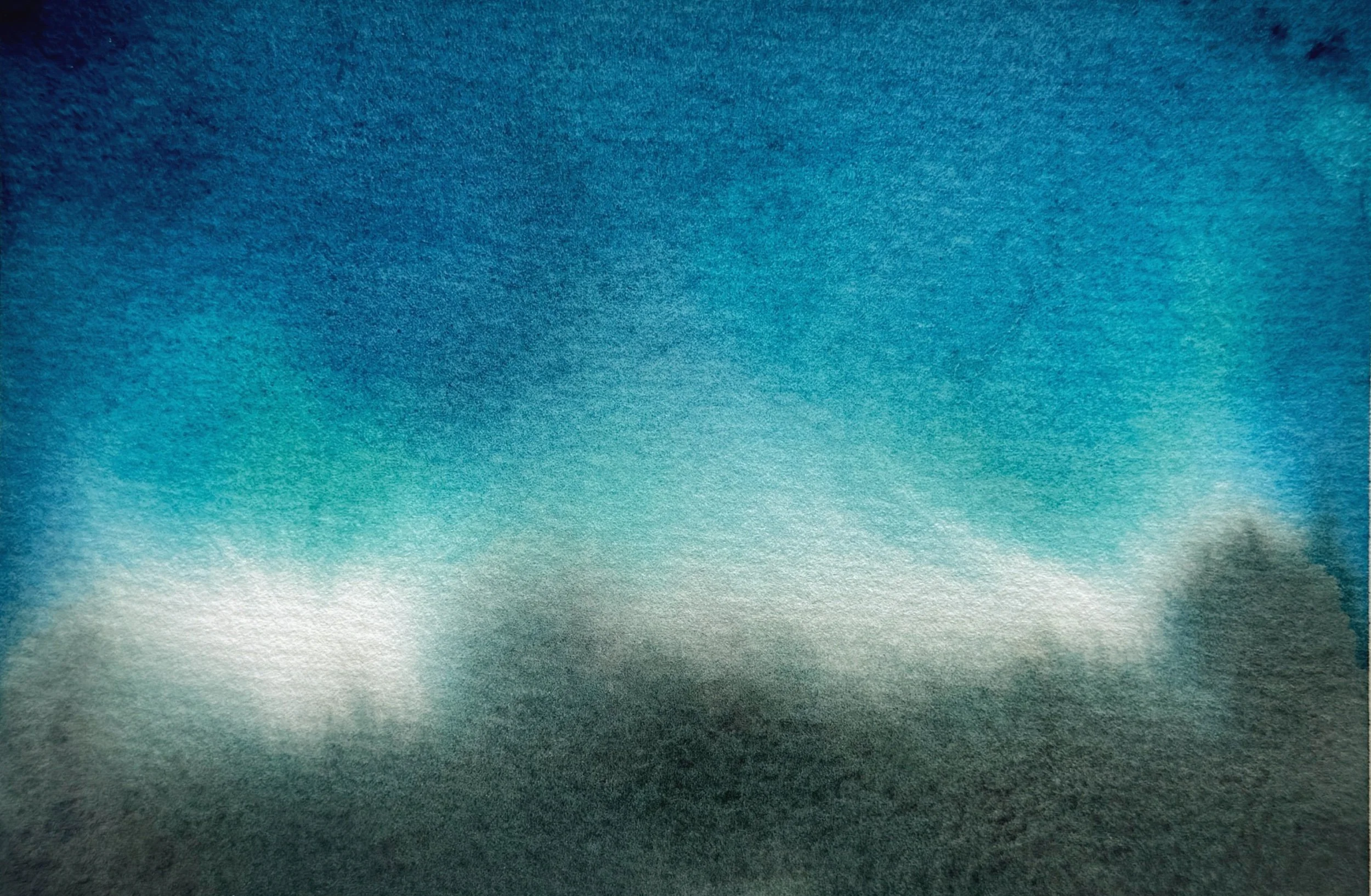 F72CE6AD-490E-4D8E-9901-C81F6FED2F86.jpeg