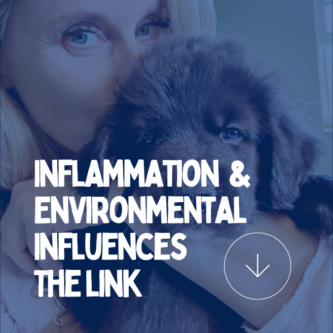 Inflammation: What You Need to Know about Environmental Influences