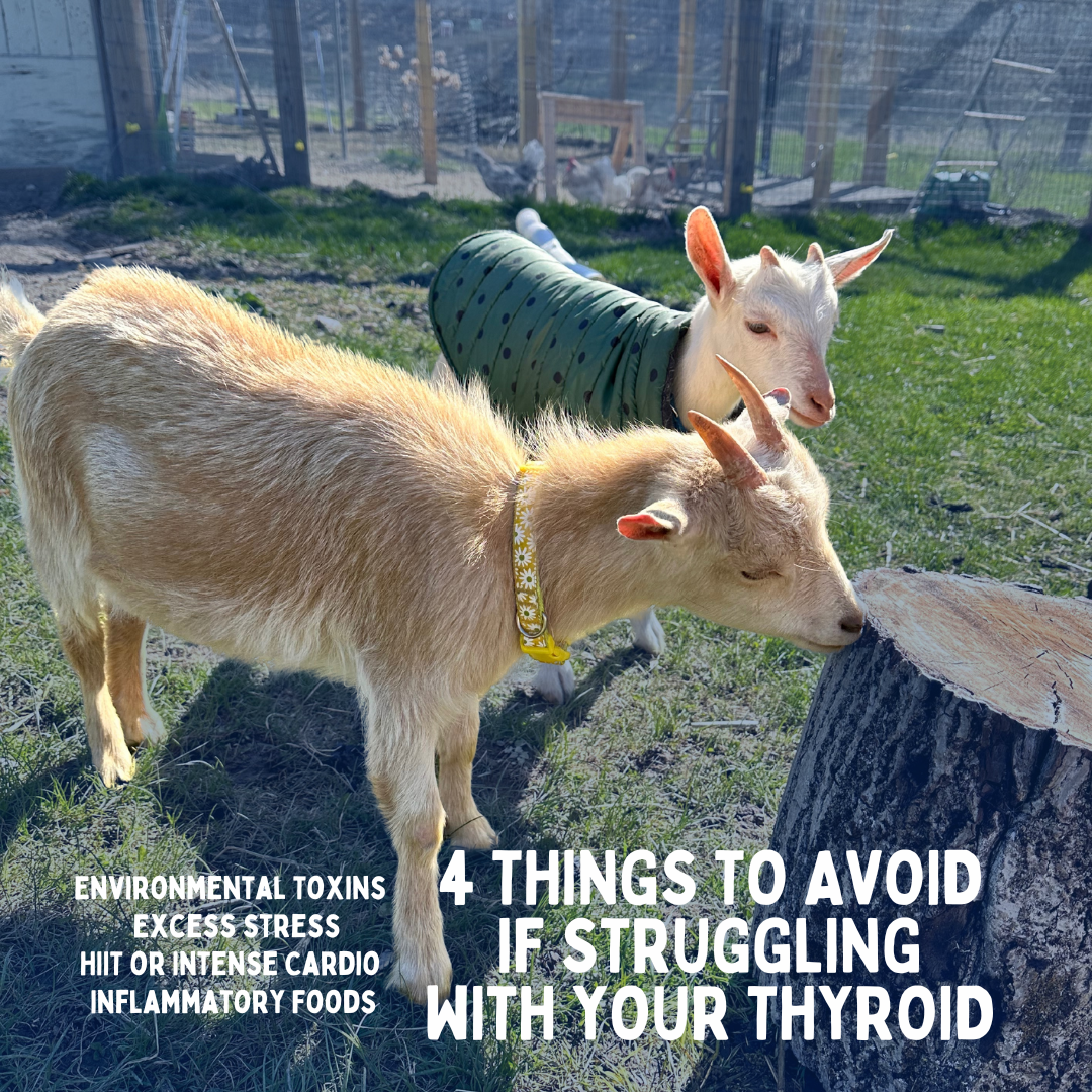 Can’t Lose Weight No Matter What? Check Your thyroid 🔎