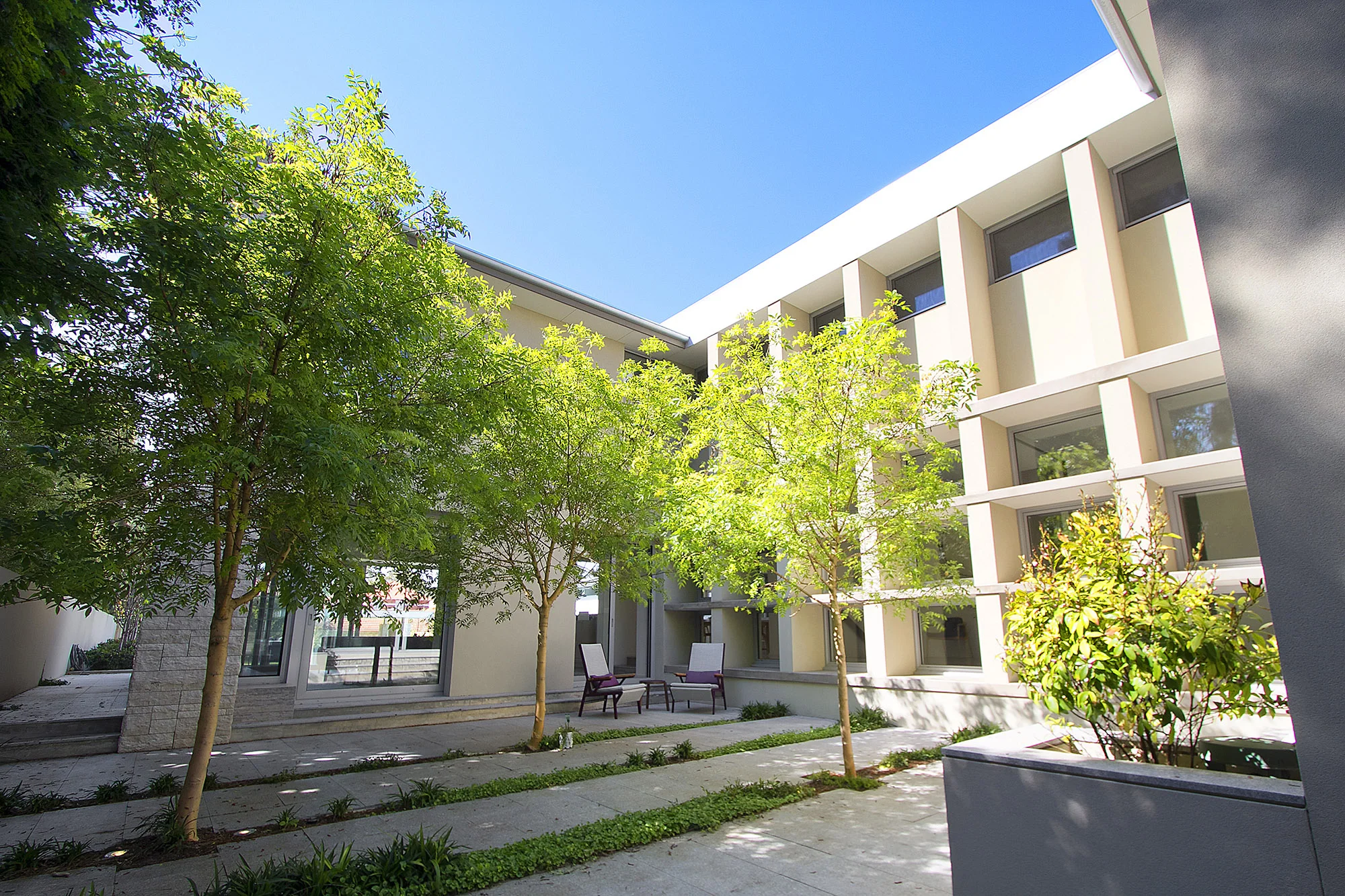 45A_Irvine_St_Peppermint_Gve_07.jpg