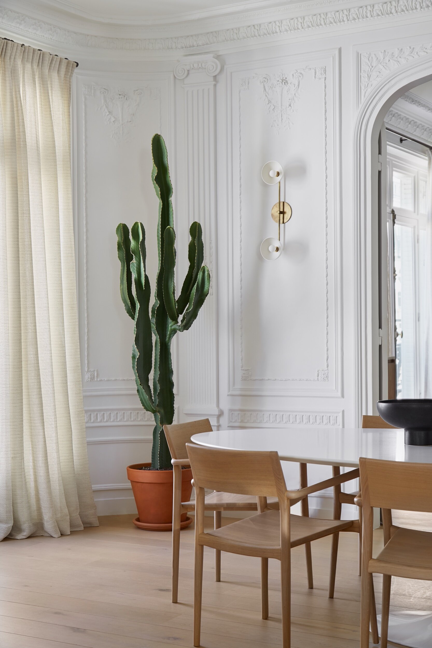 Wooden dining table and large cactus in a modern Parisian apartment