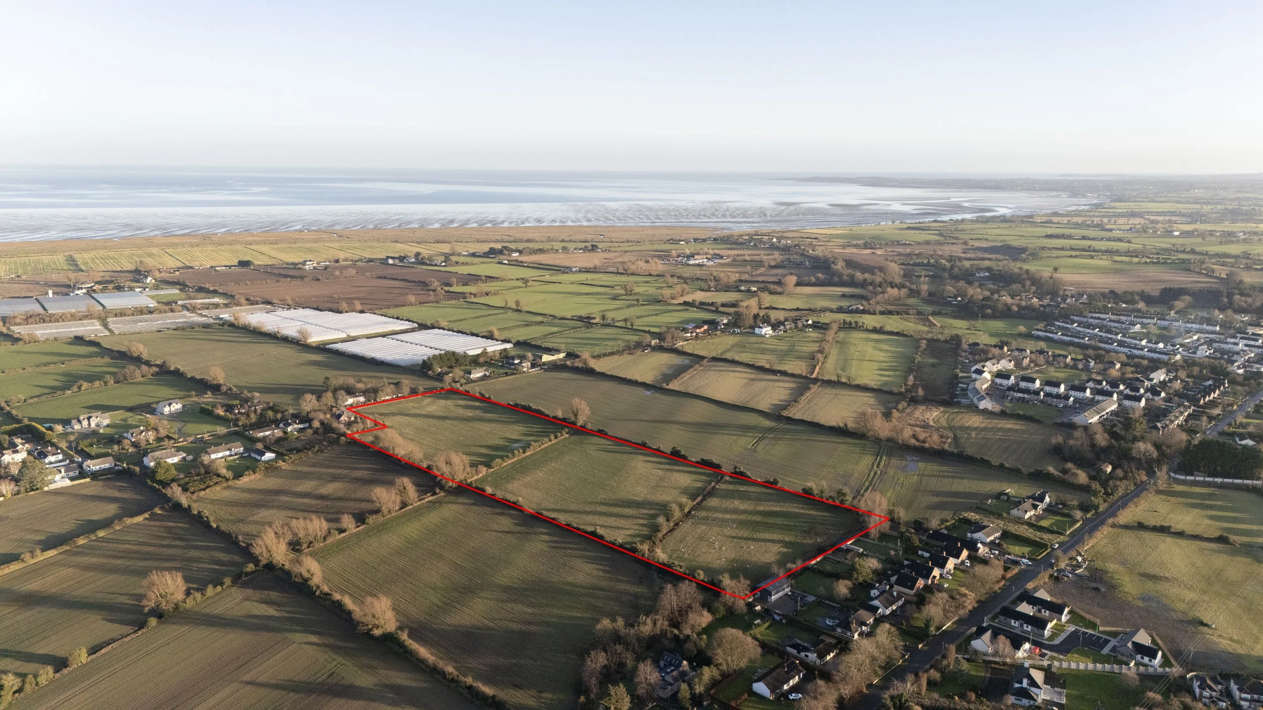 Dromiskin Land - Edited_1.jpg