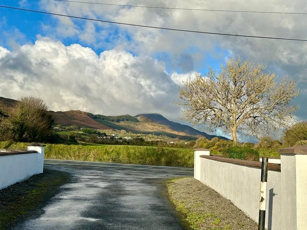 Gaultrimsland, Riverstown, Cooley, Dundalk, Co. Louth — Blue Sky