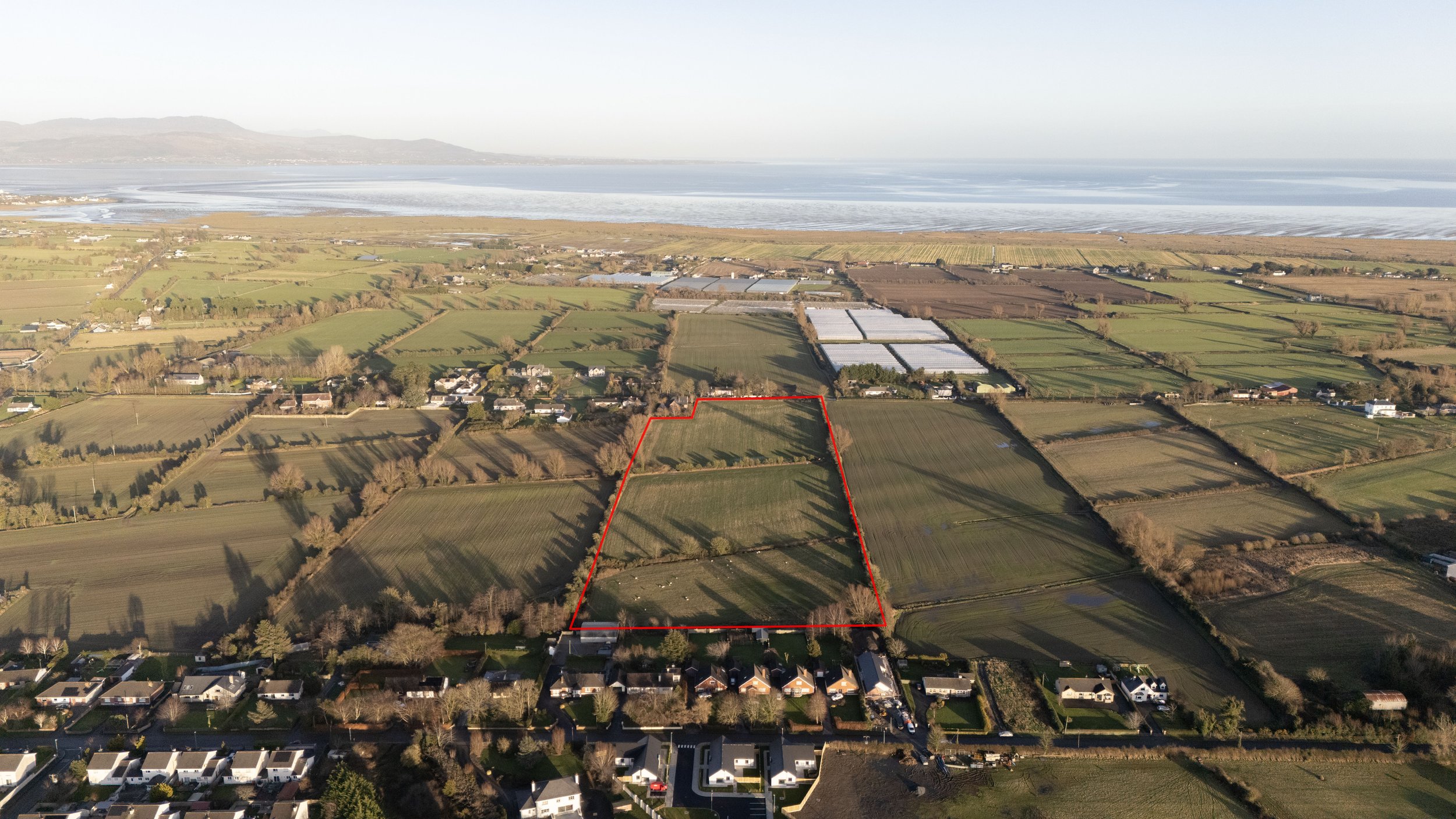 Dromiskin Land - Edited_3.jpg