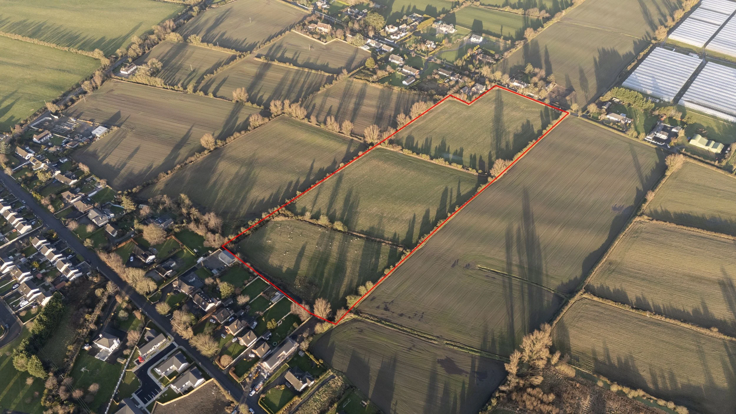 Dromiskin Land - Edited_7.jpg