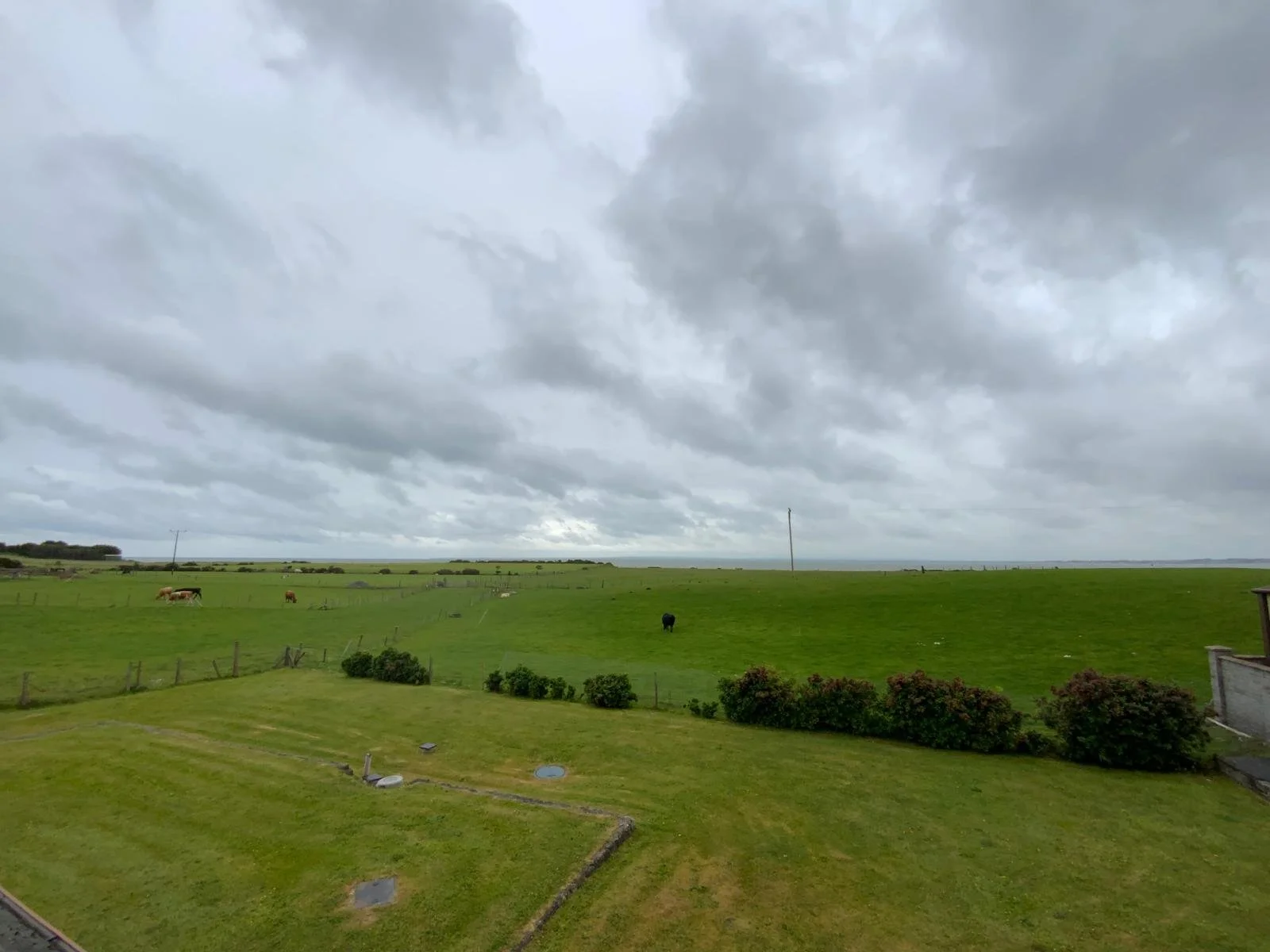 3a0ac008-a82b-4a34-9e3e-1ba121225d20 (1).JPG