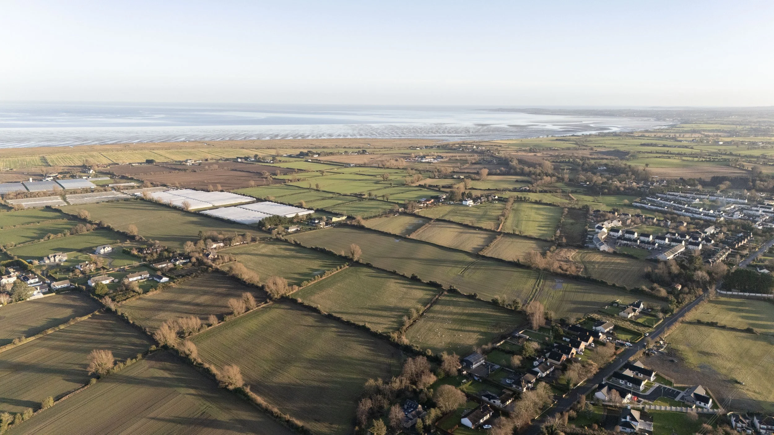 Dromiskin Land - Edited_2.jpg