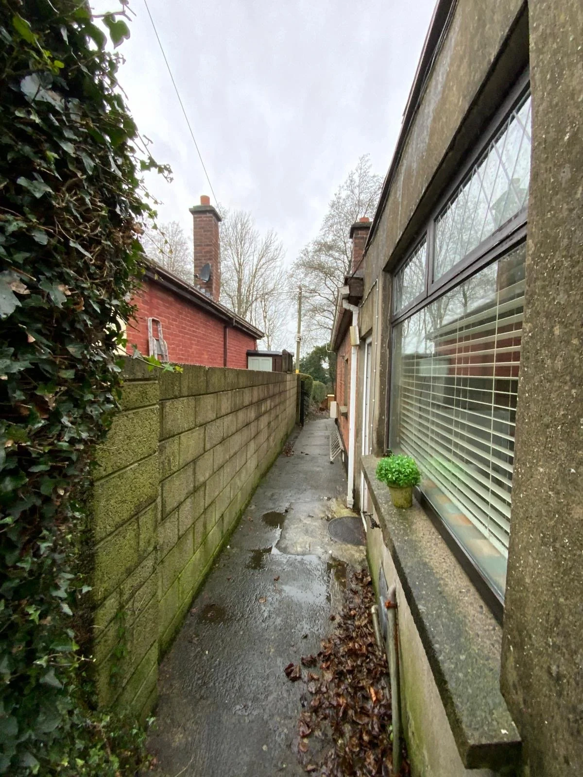 41018e94-6d49-43a2-bc35-01c7eec58edc (1).JPG