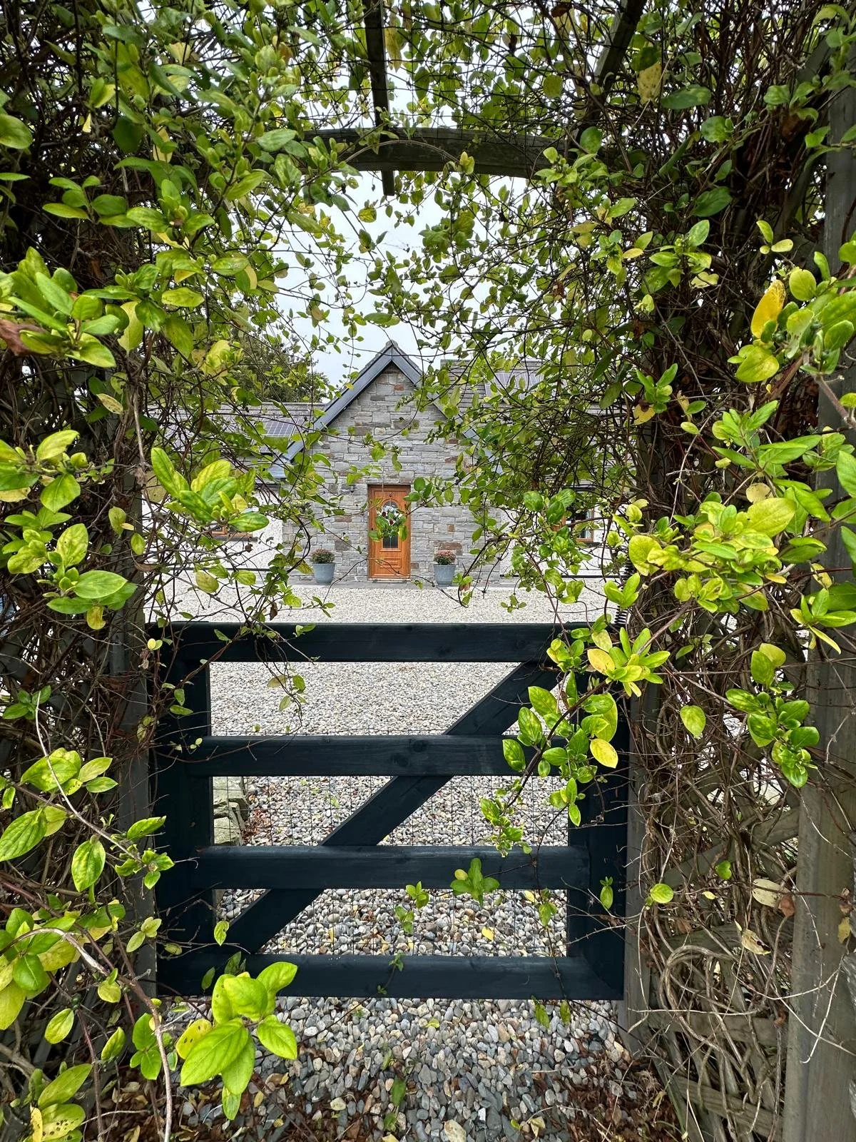 front of house 2.jpg