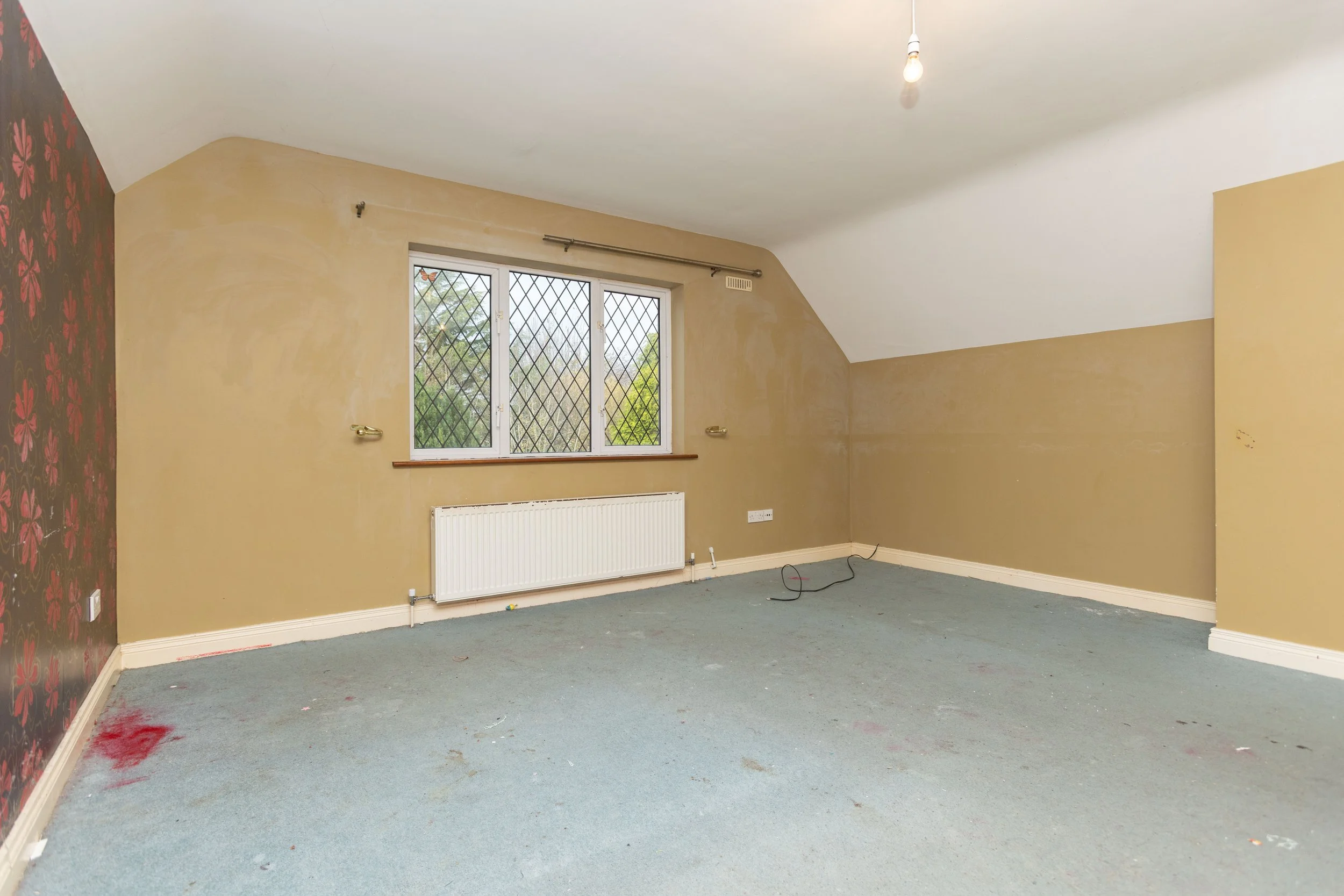 Dromiskin Property A91Y470_65.jpg