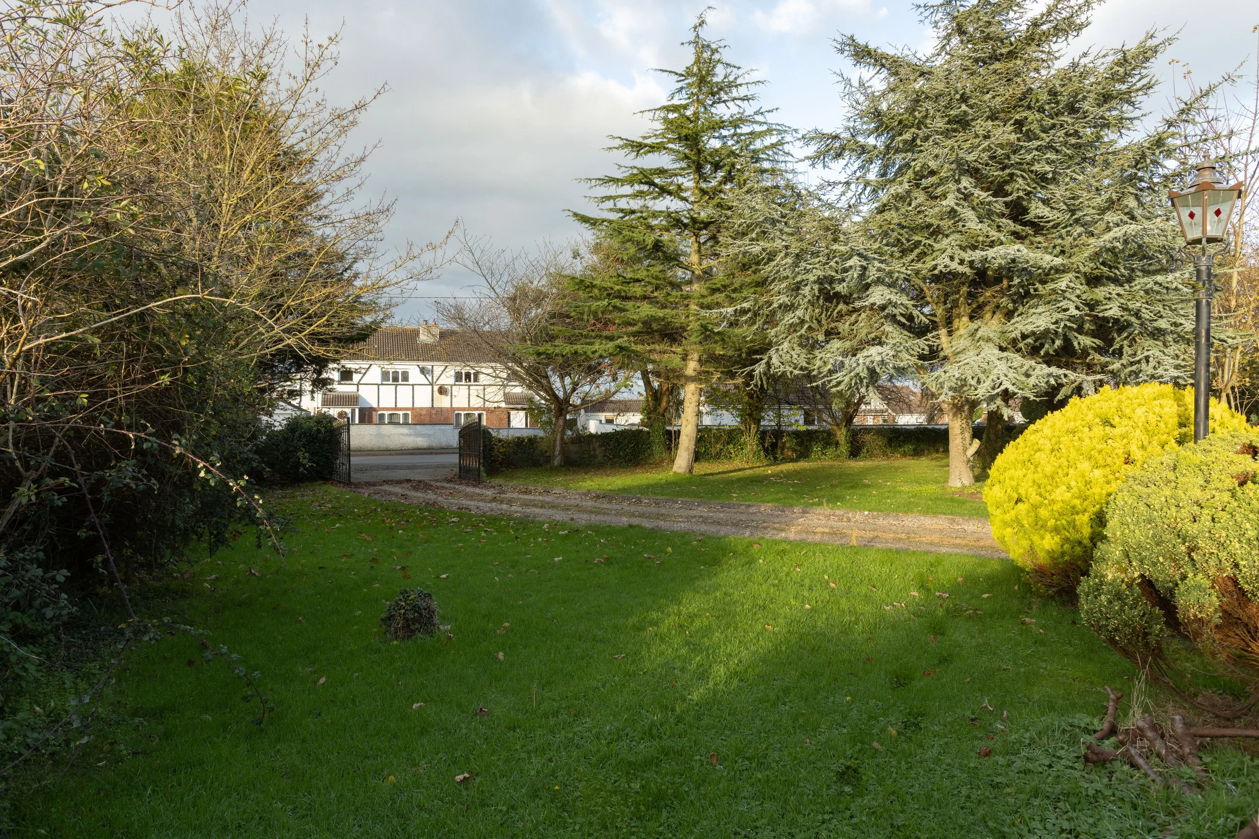 Dromiskin Property A91Y470_22.jpg