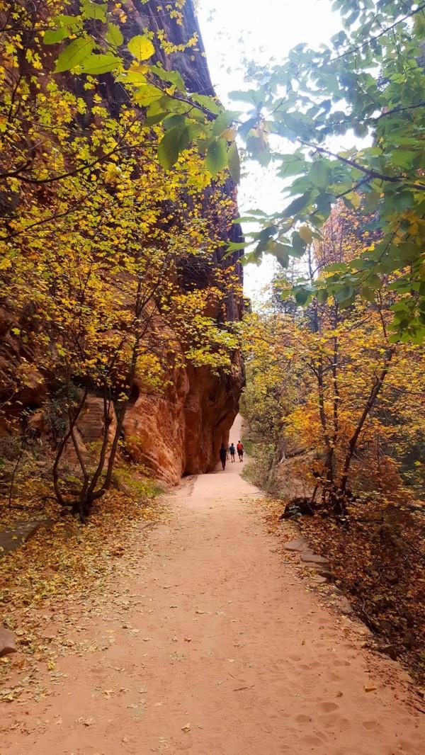 Artist at work, under abridge, Zion National Park, Utah