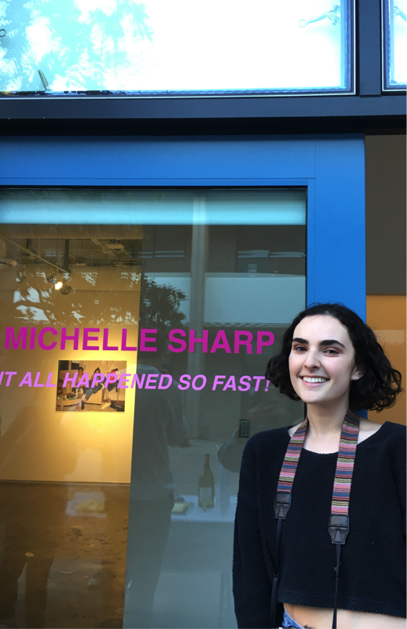 “It All Happened So Fast!” is one of the multiple Glass Box Gallery exhibits Michelle Sharp has premiered. This one in particular was featured in late February, 2018. 