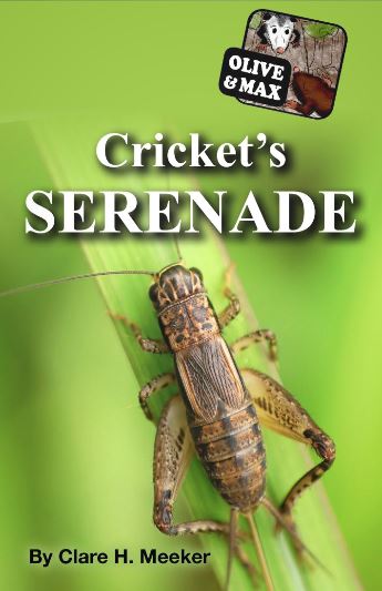 olive-max-crickets-serenade.JPG